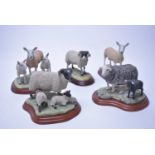 A collection of Border Fine Arts animal figures