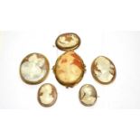 A selection of carved shell cameo brooches