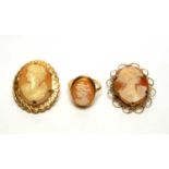 Carved shell cameo jewellery,