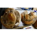 A pair of reclaimed teak root ball sphere sculptures.