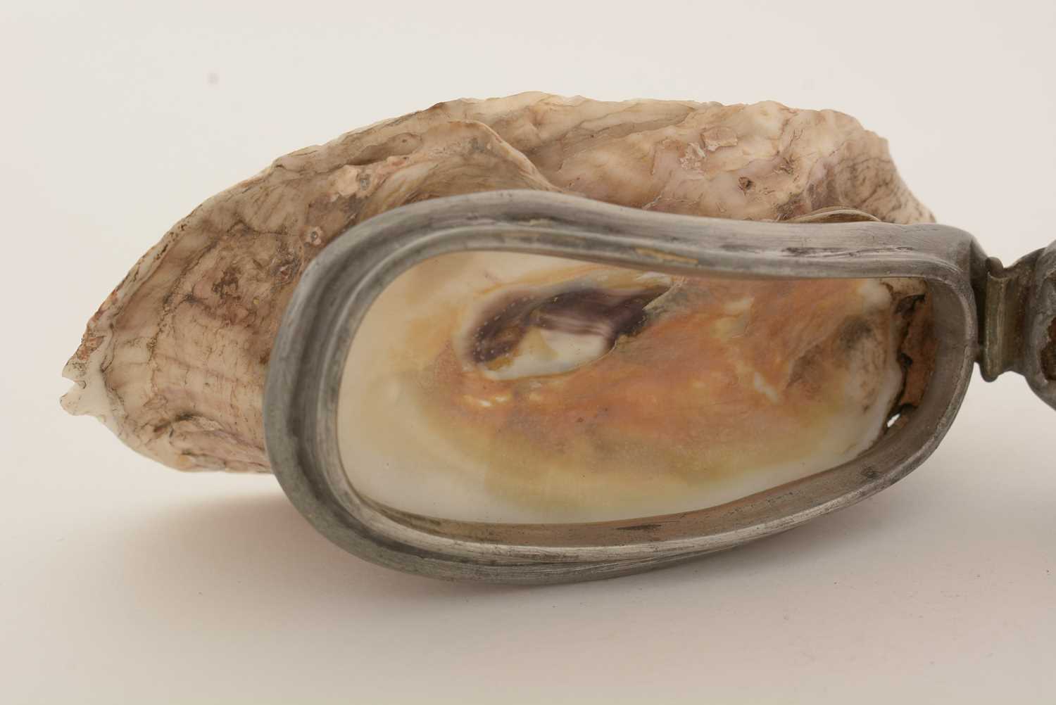 A late 19th Century pewter-mounted oyster shell snuff box, and another. - Image 11 of 15