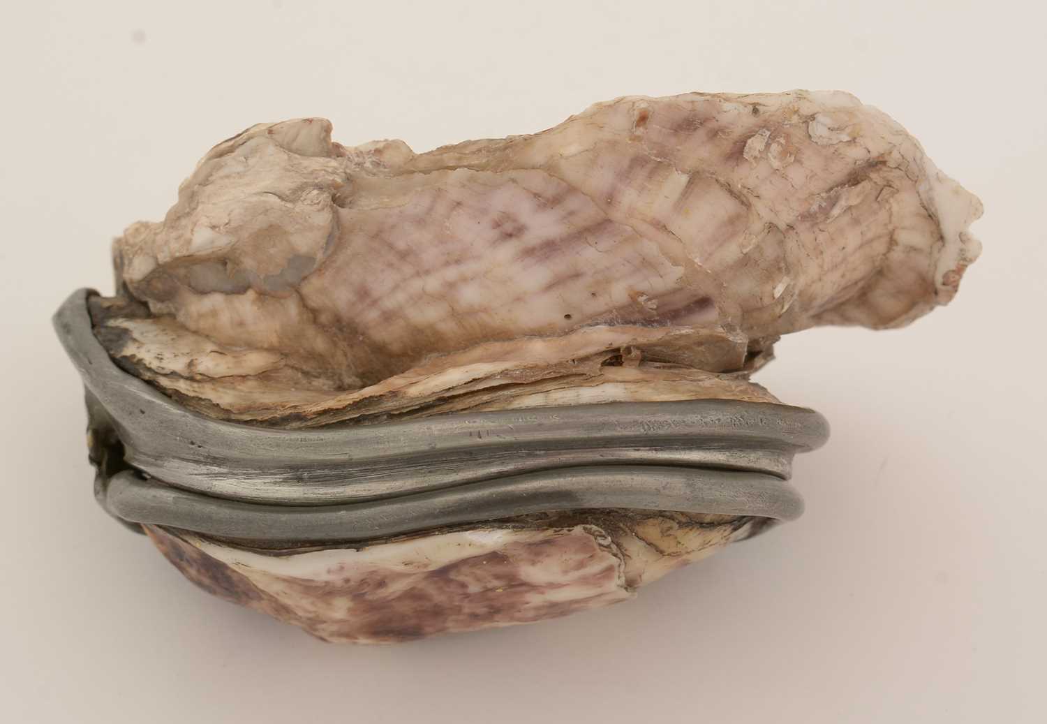 A late 19th Century pewter-mounted oyster shell snuff box, and another. - Image 7 of 15