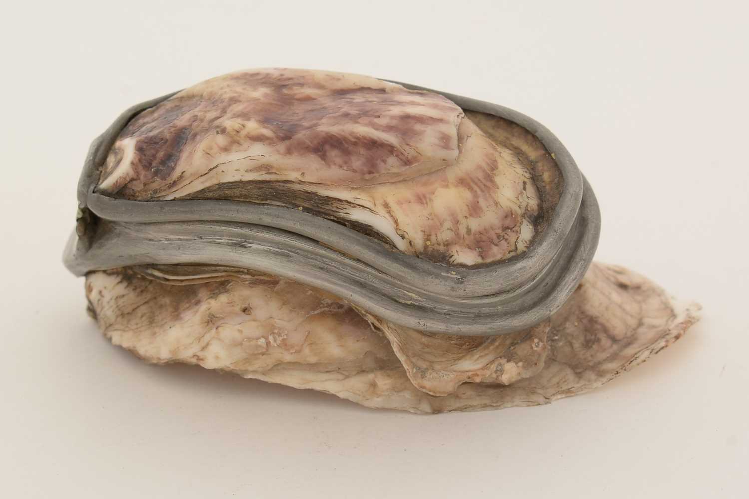 A late 19th Century pewter-mounted oyster shell snuff box, and another. - Image 9 of 15