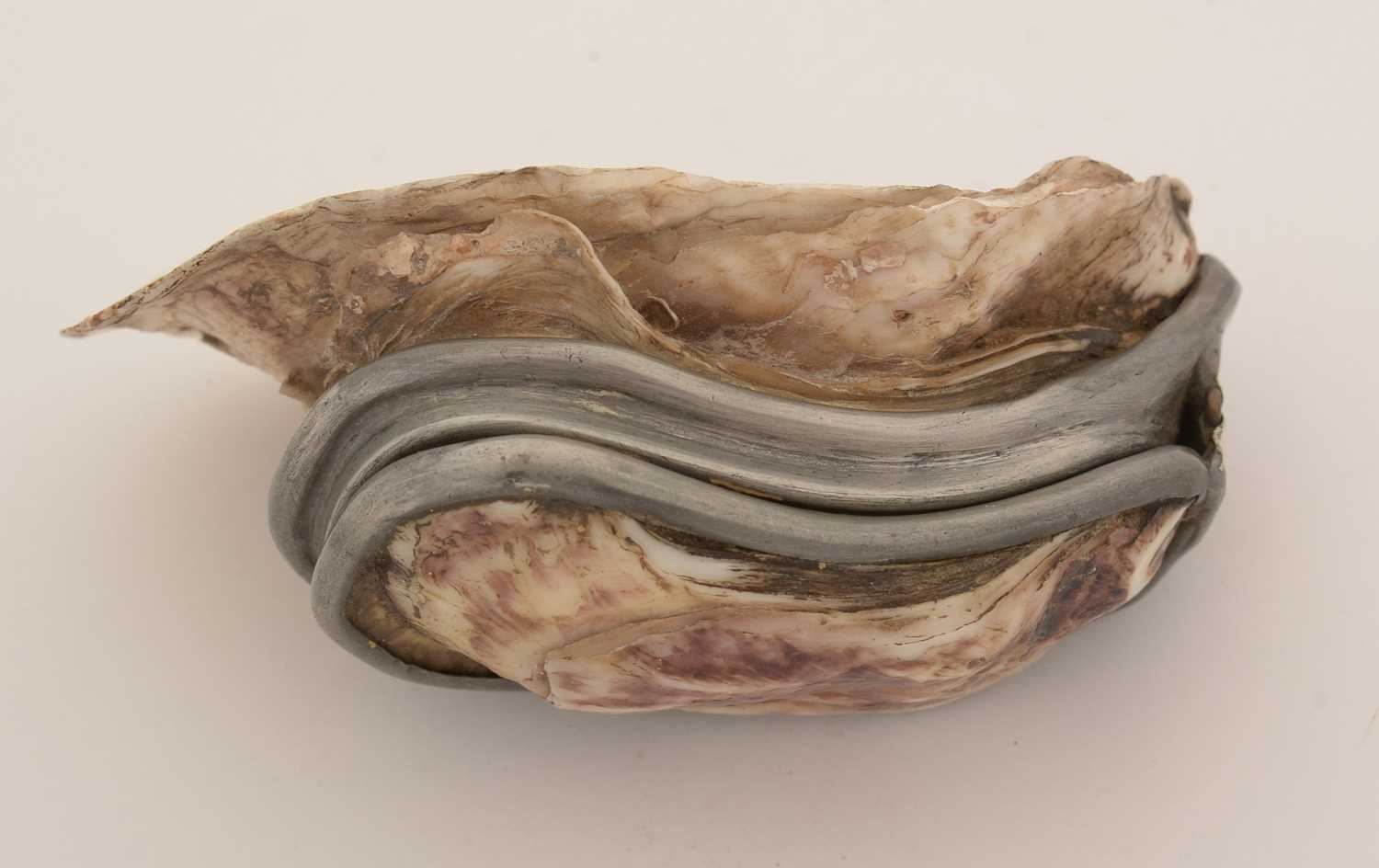A late 19th Century pewter-mounted oyster shell snuff box, and another. - Image 5 of 15