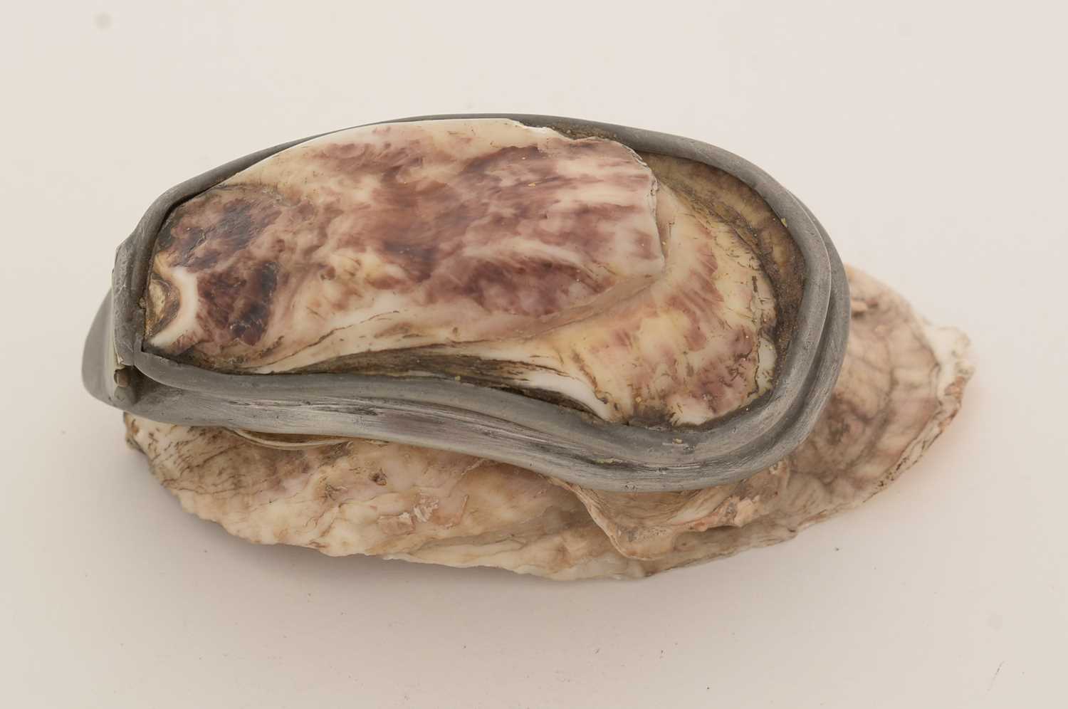 A late 19th Century pewter-mounted oyster shell snuff box, and another. - Image 14 of 15