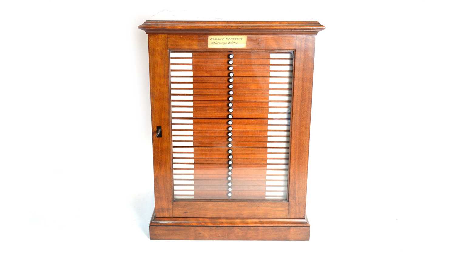 A 19th Century mahogany collectors cabinet,