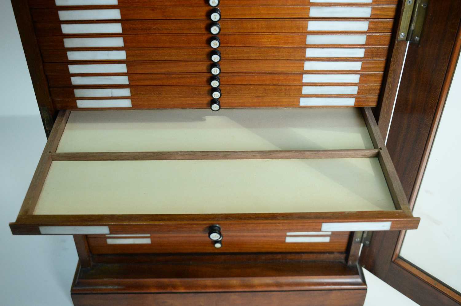 A 19th Century mahogany collectors cabinet, - Image 8 of 8