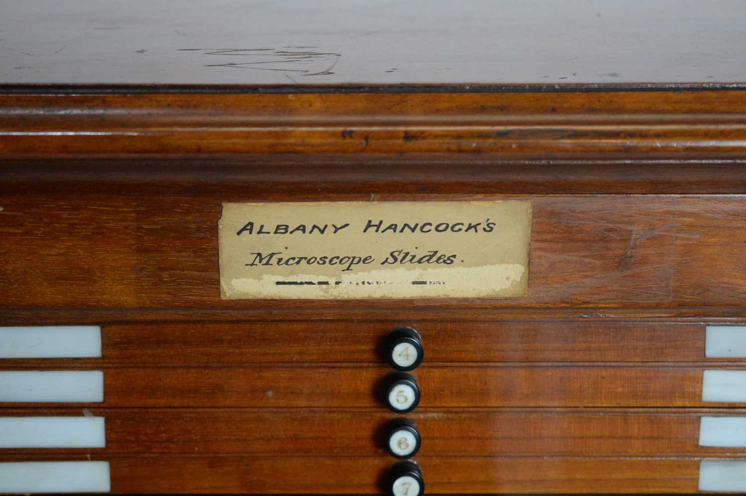 A 19th Century mahogany collectors cabinet, - Image 7 of 8