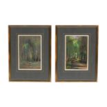 Charles W. Hemingway - Dappled Light in a Verdant Woodland | pastel pair