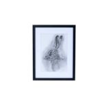 Darcey Trace - Portrait of a Hare | pencil drawing