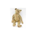 Steiff: an early 20th Century Teddy Bear,