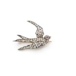 A Victorian diamond swallow pattern brooch,