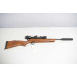 BSA .22 cal air rifle