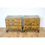 A pair of 20th Century Chinese Oriental bedside chests
