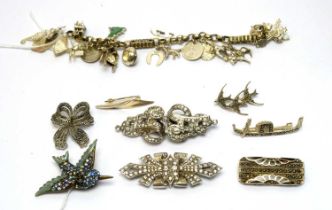 A charm bracelet; and a selection of silver and costume brooches