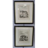 A pair of etchings, ‘L’Isatis’ and ‘Le Loup’