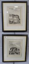 A pair of etchings, ‘L’Isatis’ and ‘Le Loup’