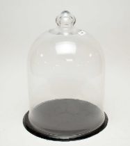 A contemporary domed glass cloche