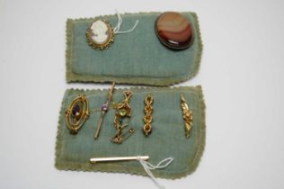 A selection of mainly Edwardian brooches