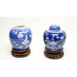 Two Chinese blue and white ginger jars