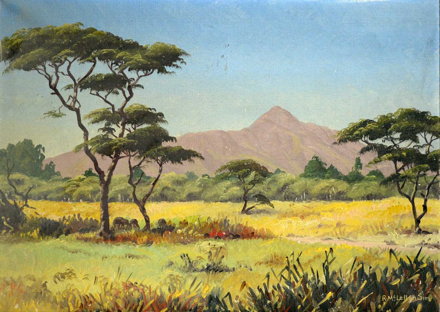 Robert Lewis McLellan-Sim - South African Landscape | oil - Image 3 of 4