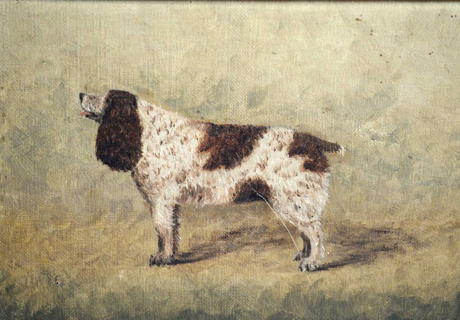 19th Century British - A naive portrait of a dog | oil - Image 2 of 4