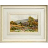 Harry James Sticks - On Muncraster Fell, Eskdale, Cumberland, Sept 1913 | watercolour