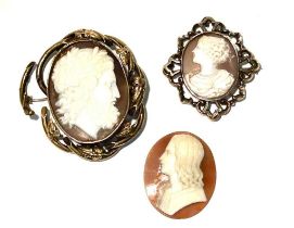 Three carved shell cameos