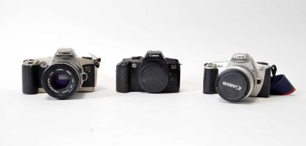 Three Canon SLR cameras