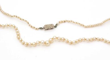 A single-strand seed pearl necklace with diamond clasp