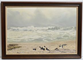 Jerry S. Waide - Oystercatchers in the Pebbles | oil