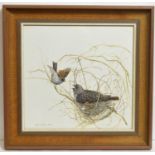 Pollyanna Pickering - A Cuckoo in the Nest | gouache