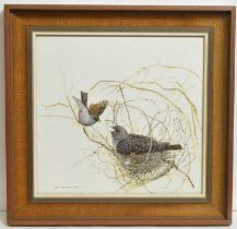 Pollyanna Pickering - A Cuckoo in the Nest | gouache