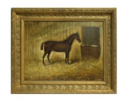 H. T. Widdas - Portrait of a Chestnut Racehorse in a Stable | oil