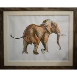 Maberly - Study of an elephant, chalk pastel, signed, 51 x 68 cm