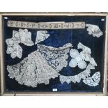 A framed collection of antique lace fringings, trimmings, collars, lace-edged handkerchief, and a