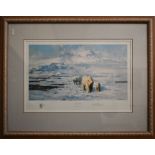 After David Shepherd - 'Lone Wanderers of the Arctic', limited edition print numbered 431/1500, 49 x
