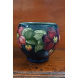 Walter Moorcroft blue-ground 'Clematis' cache-pot, 13 cm high (hairline crack)