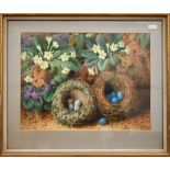 J Clapham - A watercolour study of two bird nests with eggs nestled amongst primroses, signed, 25