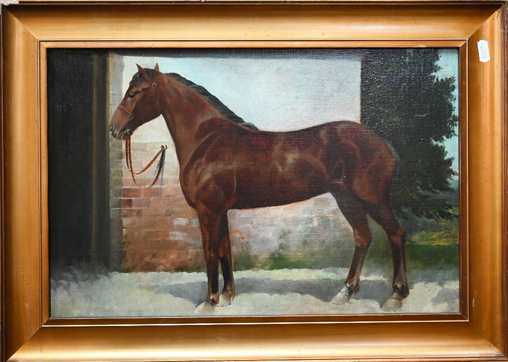 Manner of Herring - Study of a chestnut horse before a stable, oil on canvas, 29 x 44 cm Relined