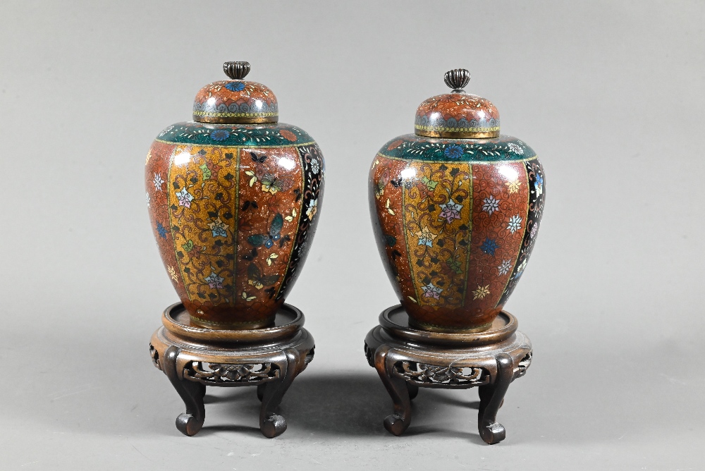 A pair of late 19th or early 20th century Japanese cloisonne ovoid vases with domed covers and - Image 10 of 16