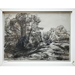 Vernon Wethered (1865-1952) - 'Study of Trees and Broken Ground', black chalk, ink, bodycolour and