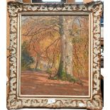 Donald Floyd (1892-1965) - Autumn trees, oil on board, signed and dated 1941, 44 x 37 cn