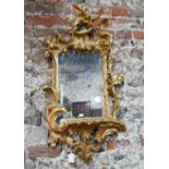 A giltwood and composite Ho-ho surmounted Chippendale style mirror, 90 cm h x 48 cm w