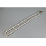 A graduated row of cultured pearls double knotted throughout onto white metal snap in the form of