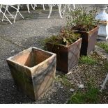 A pair of glazed square tapering planters (with plants) to/w a square tapering box frame (3)