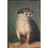 Early 20th century English school - Study of a small seated dog, oil on canvas, 27.5 x 19 cm