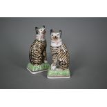 A pair of early 19th century Staffordshire Pottery seated tabby-cats, 18 cm high