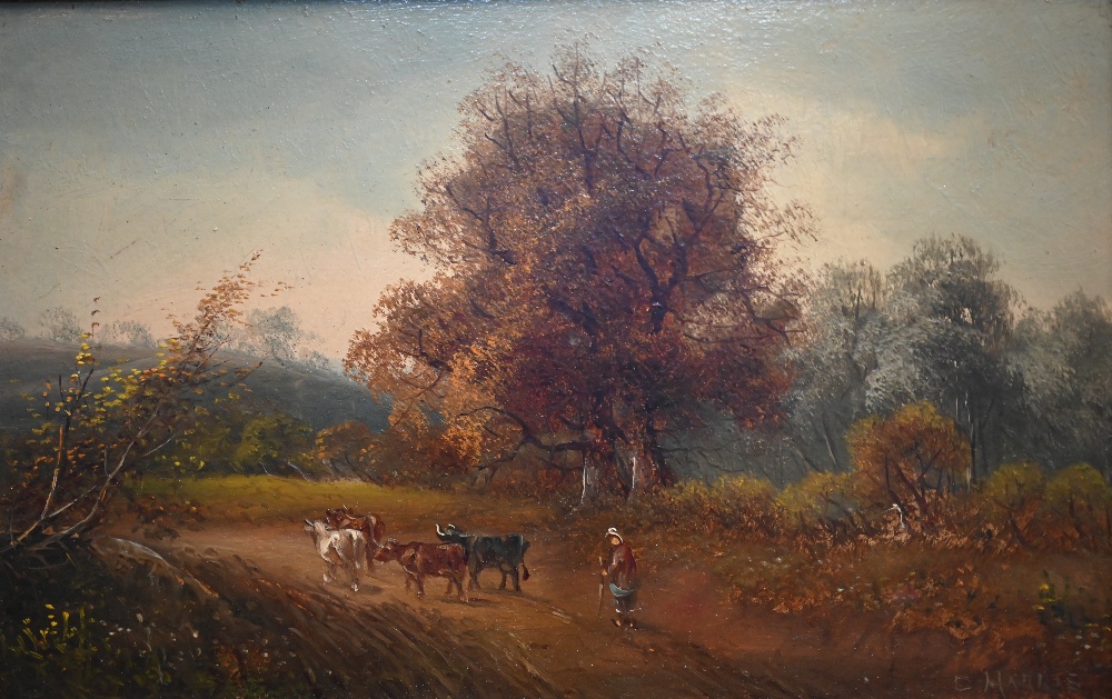 G Harris - A pair of autumnal landscapes, oil on board, signed, 18 x 29 cm (2) - Image 3 of 8