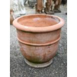A large terracotta plant pot